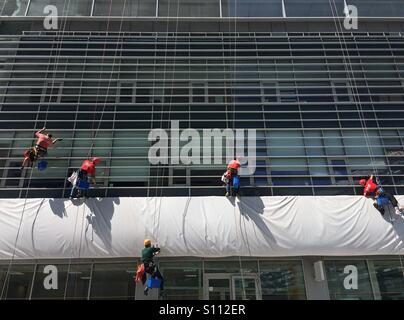 Urban alpinista alpinisti ufficio pulizia facciata di edificio Foto Stock