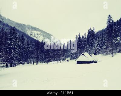 Strazyska Valley vicino a Zakopane, monti Tatra, Polonia Foto Stock