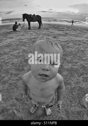 Baby Boy sulla spiaggia con cavallo Foto Stock