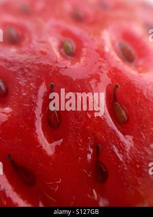 Primo piano di una fragola matura rossa Foto Stock