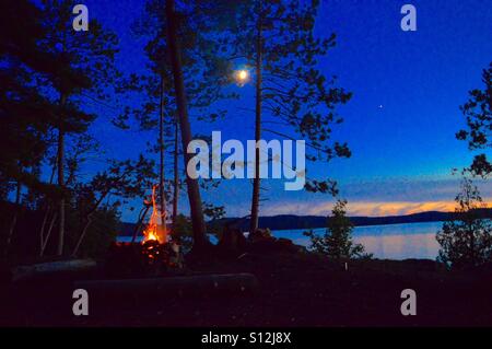 Campfire le fiamme sotto il Lago di luce lunare a Forest Foto Stock