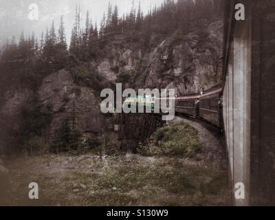 Pass bianco passeggero ferroviario treno dall Alaska alla Yukon. Foto Stock