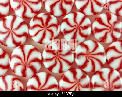 Round rosso e bianco di caramelle di menta piperita, disposti in file orizzontali su sfondo bianco Foto Stock