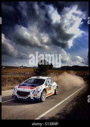 2015 WRC Rally-RACC Rally de España SS21 Guiamets 2 [Els Guiamets] José Antonio Suarez/Cándido Carrera - Peugeot 208 T16 R5 rally car, Catalogna, Spagna. Foto Stock