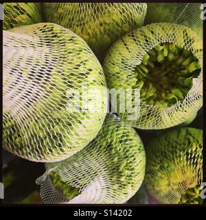 Crisantemo verde blumi compensate per la vendita Foto Stock