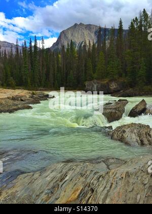 Il Ponte naturale cade sul Fiume Kicking Horse nel Parco Nazionale di Yoho, B.C., Canada Foto Stock