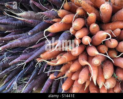 Viola e arancione carote Foto Stock
