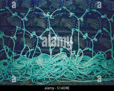 Funi di blu e di lobster pot Foto Stock