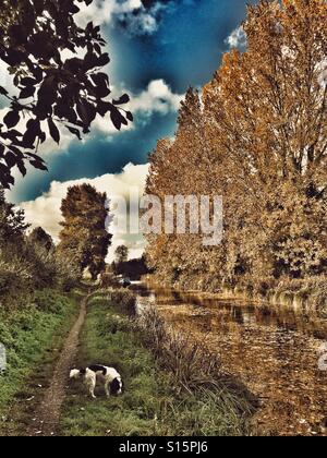 Kennet and Avon Canal in autunno con alberi in colore di autunno ed un piccolo cane sulla strada alzaia in Hungerford comune in Ottobre Foto Stock