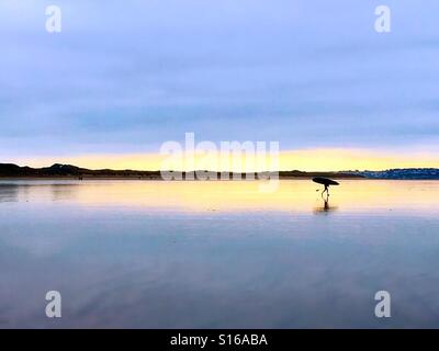 Lone stand up paddle boarder voce alle onde Foto Stock