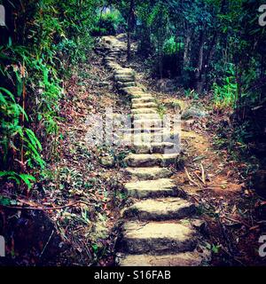 passerella di scale di pietra nella giungla nella foresta di montagna di hong kong per fare un giro Foto Stock