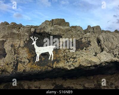 Feste di addio al celibato rock, Bamburgh - bianco stag dipinta sulla parete di roccia Foto Stock