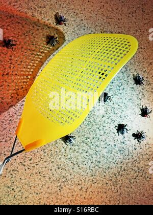 Fly swatter uccisione vola sul bancone della cucina Foto Stock