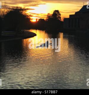 I canottieri sul fiume Avon al tramonto. Stratford upon Avon Foto Stock