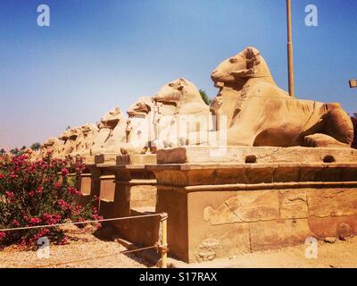 La guardia di fronte a Karnak Luxor Egitto Foto Stock