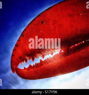 Lobster claw close up. Foto Stock