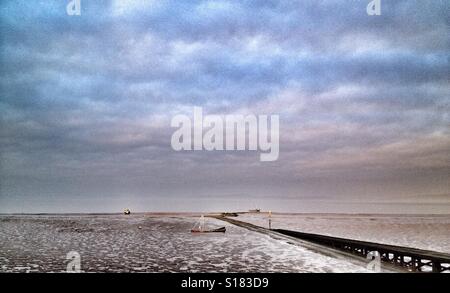 Morecambe Bay velme Foto Stock