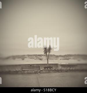 Una immagine in bianco e nero di un fosco panorama sul mare Foto Stock