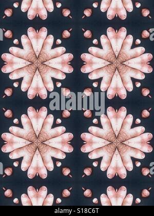 Un abstract immagine concettuale del fiore starbursts realizzato da dita umane Foto Stock