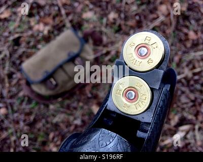 Fucile da caccia cartucce in un fucile rotto al di sopra di un sacco di gioco Foto Stock