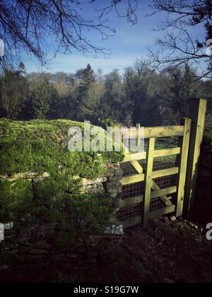 Cancello in legno con un muro di pietra coperta da fitti moss Foto Stock