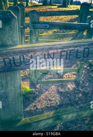 Attenzione di Bull nel campo scritto su una porta Foto Stock