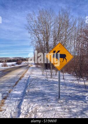 Canadese tipica scena invernale con le alci cartello segnaletico. Vicino Priddis, Calgary, Alberta, Canada. Foto Stock