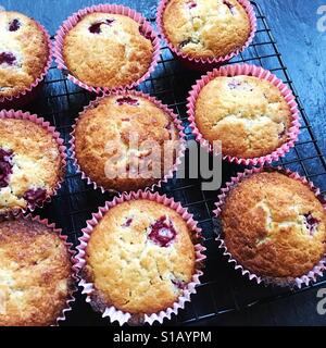 Francese torta di yogurt con lamponi Foto Stock