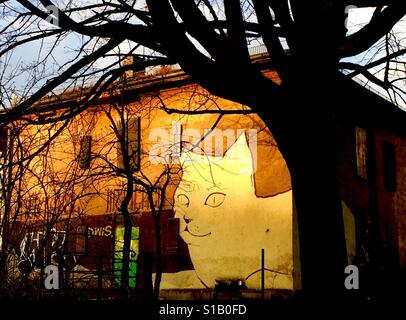 Cat Street Art Monaco di Baviera, Germania Foto Stock