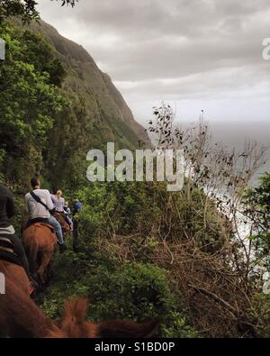 Mulo cavalcata verso la penisola di Kalaupapa, isola di Molokai, Hawaii, STATI UNITI D'AMERICA Foto Stock