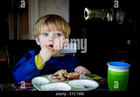 Il Toddler boy Mangiare burro di arachidi e jelly sandwich per il pranzo a casa Foto Stock