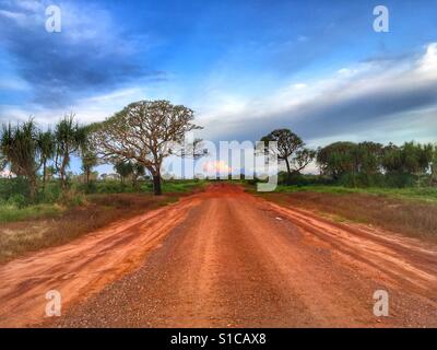 Rosso su strada sterrata in australiano del Northern Territory. Foto Stock