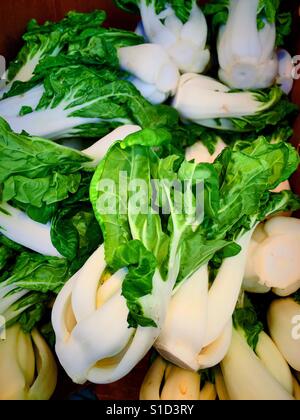 Bok Chou per vendita a supporto vegetale in Chinatown, NYC, STATI UNITI D'AMERICA Foto Stock