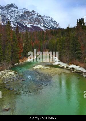 Frazer fiume in Robson Provincial Park, British Columbia, Canada Foto Stock
