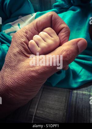 Il futuro in mano. Un uomo anziano tiene il pugno di un bambino, il suo nipote, il Canada. Concetti: Collegamento, presente e futuro, oggi domani. Sicurezza. Cura. Sheltering. Consegnare il pugno. Continuità Foto Stock