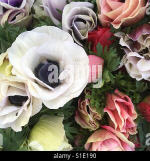 Una benna di anemoni in attesa di essere avvolti in un giornale al Santa Barbara Farmers Market Foto Stock