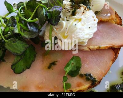 Il prosciutto cotto, uova in camicia e il segnale di PEA germogli su pane tostato. Foto Stock