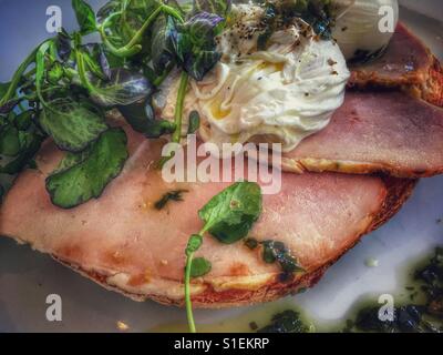 Il prosciutto cotto, uova in camicia e il segnale di PEA germogli su pane tostato. Foto Stock