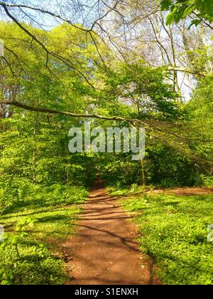 Parc de Sceaux Francia, percorso di primavera Foto Stock