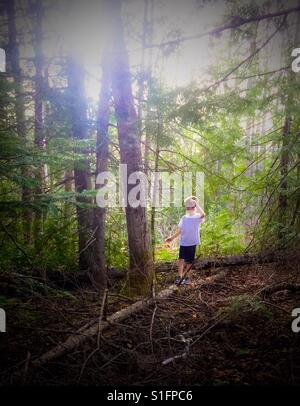 A sette anni di vecchio ragazzo mettere in pratica il suo equilibrio camminando attraverso un albero caduto nella foresta. Foto Stock
