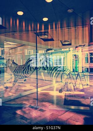 Zebra riflessione, galleria d'arte contemporanea, Nottingham, Nottinghamshire, East Midlands, Inghilterra Foto Stock