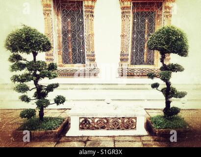 Due alberi di bonsai al tempio buddista a Bangkok in Tailandia Foto Stock