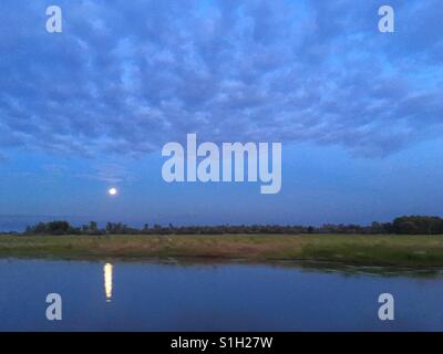 Luna piena sopra Corroboree Billabong, vicino a Darwin nel Territorio Settentrionale dell'Australia. Foto Stock