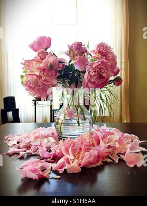 Un morente bouquet di peonie in un vaso. Foto Stock