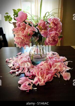 Un bouquet di morire peonia fiori in un vaso. Foto Stock