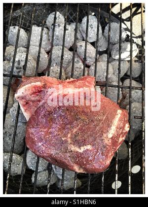 Scamone bistecca alla griglia. (16oz) Foto Stock