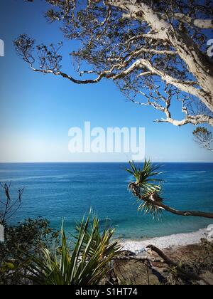 Vista del mare lungo il sentiero a piedi in Noosa National Park, Queensland, Australia Foto Stock