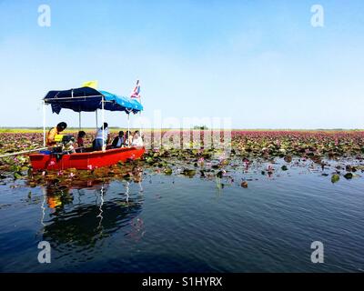 Galleggiano sul mare di fioritura gigli, Thale Noi (piccolo mare), il santuario degli uccelli, Phatthalung, Thailandia Foto Stock