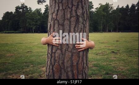 Una coppia di mani umane avvolto intorno al grosso tronco di un albero in una struttura ad albero che abbraccia l'immagine. Foto Stock