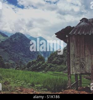 Riso dell'agricoltore capanna tra le risaie nelle montagne vietnamita vicino a Sapa Foto Stock